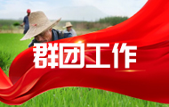 群团工作
